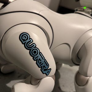 Personalized aibo Branding for Pups and Gear
