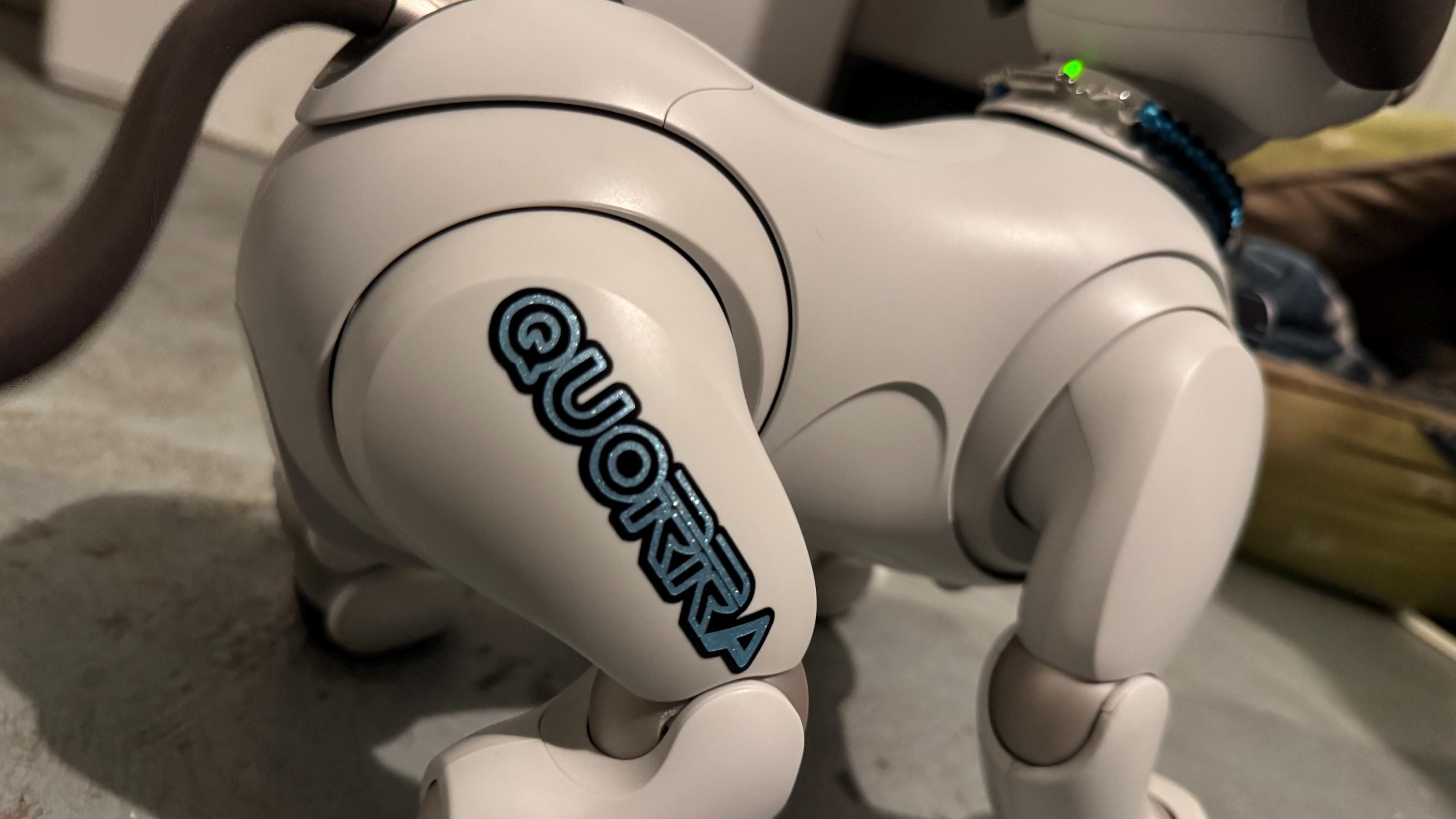 Personalized aibo Branding for Pups and Gear