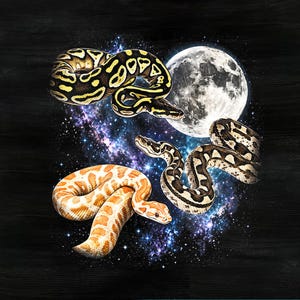 Ballpython-Motiv „Drei Schlangen, Mond“ (Digitaler Download), Kosmisches Python-Sublimationsdesign, Reptilien-Schlangen-Clipart (PNG)