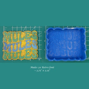May include: A blue silicone mold for making resin crafts. The mold is shaped like the word "MULES" in a retro font. The mold is approximately 3.75 inches by 3.25 inches.