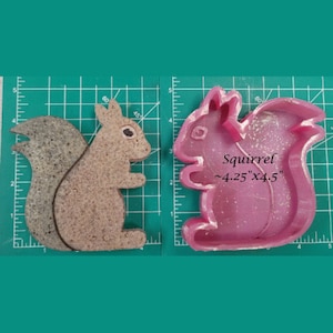 May include: A pink silicone mold of a squirrel, measuring approximately 4.25 inches by 4.5 inches. The mold is on a green cutting mat. Next to it is a brown and gray squirrel made from the mold.
