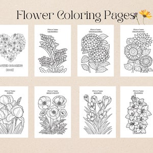 Printable adult flower coloring pages | Flower coloring pages | Floral coloring pages | Flower coloring pages for kid