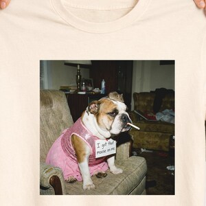 dog in pink dress meme A Dog in Pink Car with