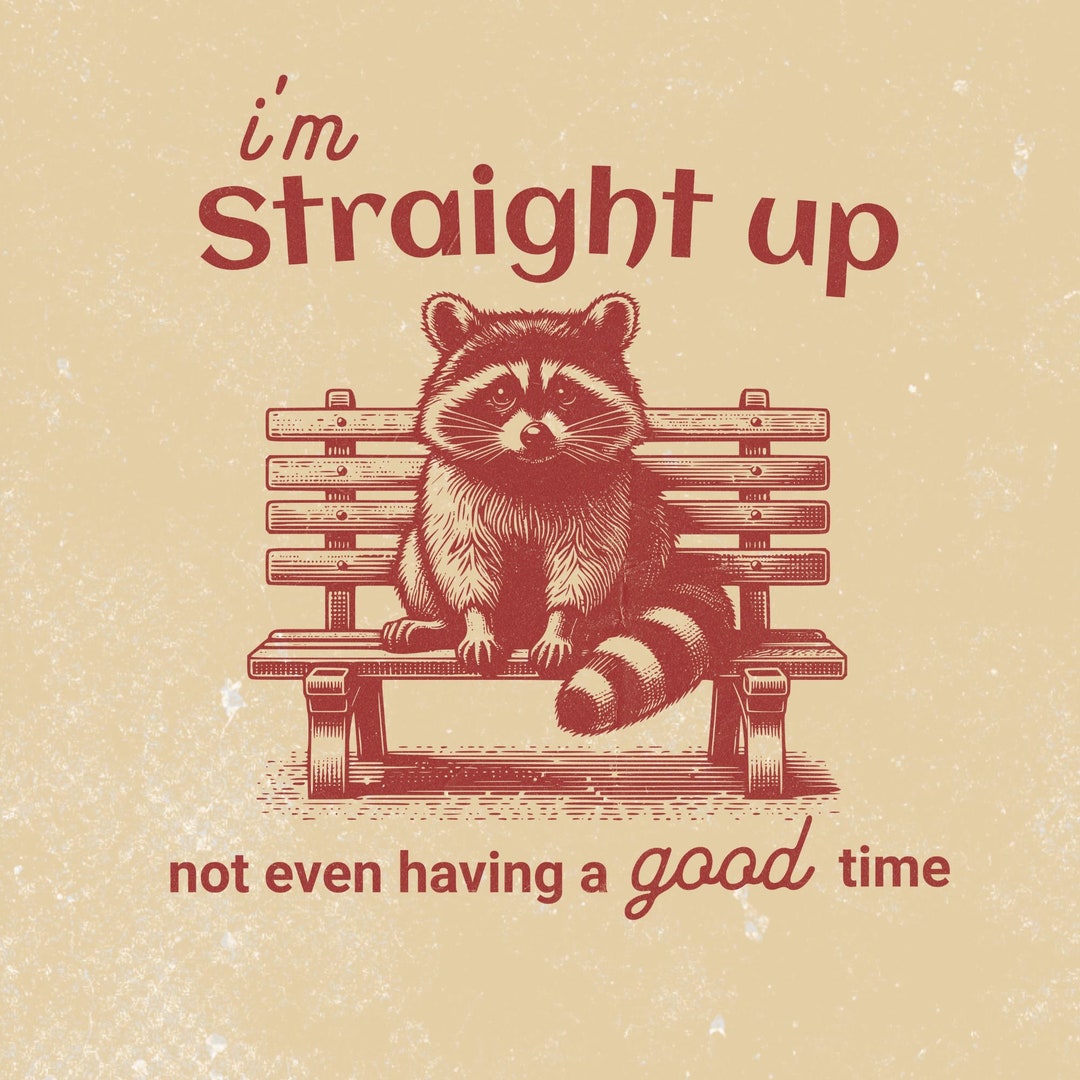 I'm Straight up Not Even Having a Good Time Png, Funny Raccoon Meme Png