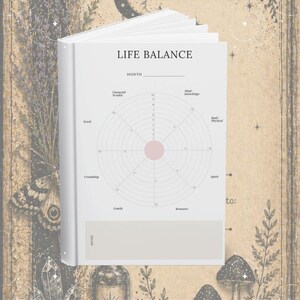 May include: A white journal titled ME/CFS DAILY JOURNAL PAGES FOR LOW ENERGY DAYS. The open page features a LIFE BALANCE wheel chart with categories like Financial Wealth, Work, Friendship, Family, Romance, Spirit, Body Physical, and Mind Knowledge.