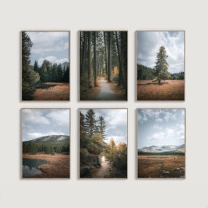 Yosemite National Park Photo Set, Nature Photography, Printable Wall Art Set of 6, Fall in Yosemite Prints, Wall Decor, Instant Download