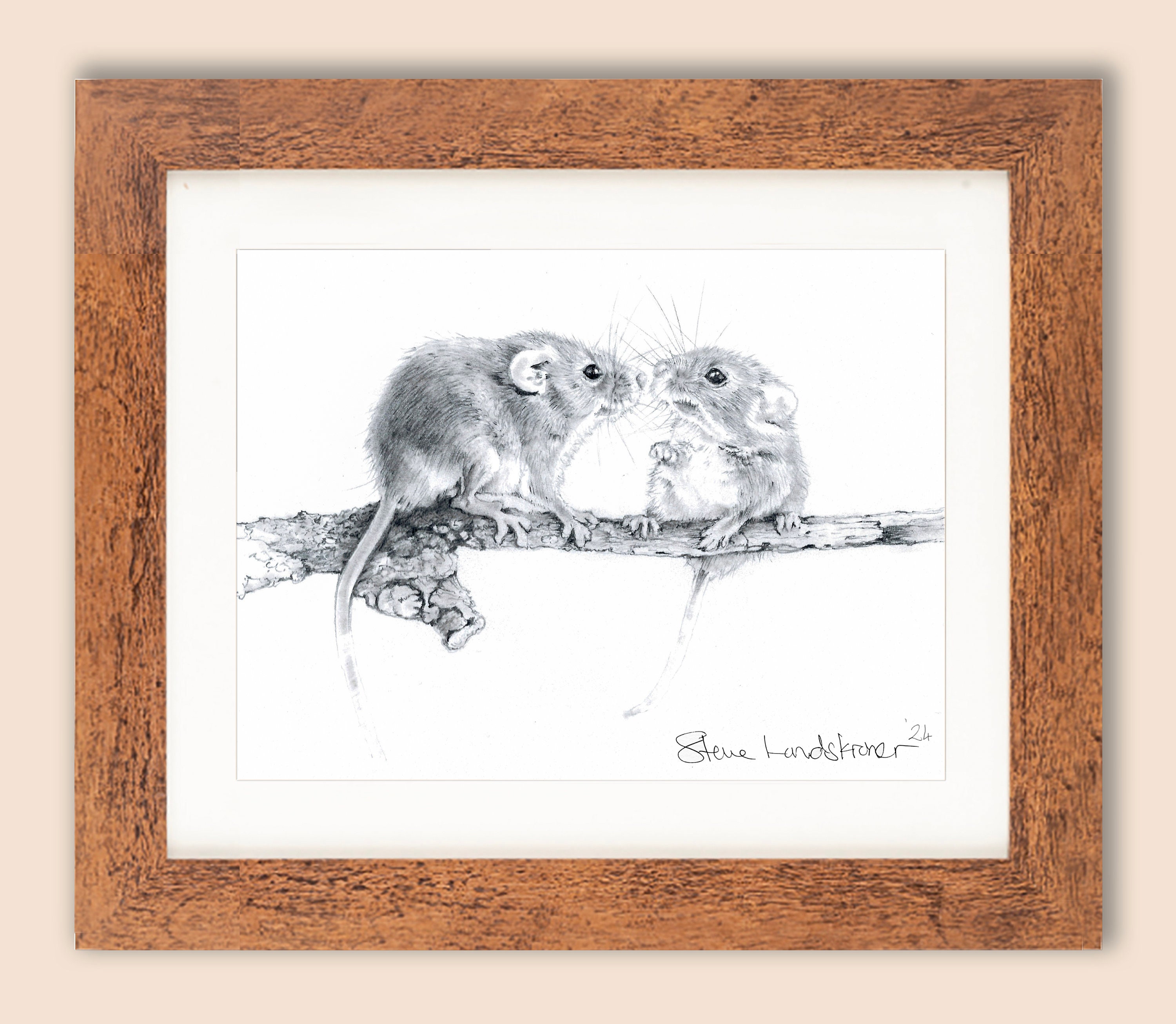 Field Mice: A stunning limited edition print from an original pencil  drawing by artist Steve