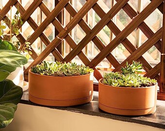 Elegant Clay Planter Set - 10-Inch Terracotta Pots with Drainage, Handmade Succulent Pot and Saucer, Flower Pots with Mud Saucer