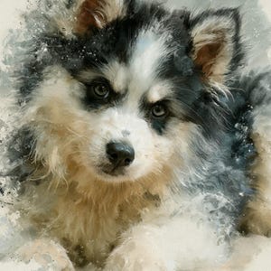 May include: A digital watercolor illustration of a fluffy puppy with black, white, and tan fur. The puppy has dark eyes, a black nose, and pointed ears, with soft, blended edges and paint splatters creating a textured effect around the head.
