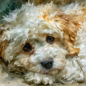 May include: An oil painting of a fluffy dog with cream and light brown fur. The dog has large, expressive dark brown eyes and a black nose. The brushstrokes are thick and textured, creating a soft, layered appearance across the canine's face.