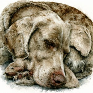 Weimaraner Watercolor Ceramic Tile | Dog Wall Art | Gift for Weim Mom