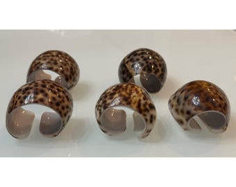 Anillos para servilletas de concha de cauri tigre, decoración de mesa costera con conchas marinas naturales, juego de 5