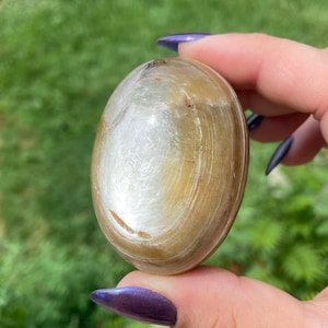 Jumbo Golden Muscovite Shiva Lingam Shape