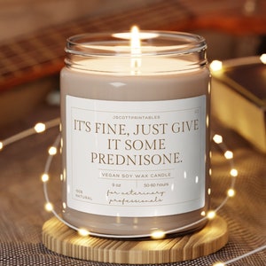 Funny veterinary candle, it's fine just give it prednisone, vet med humor, gift for vet tech, DVM, RVT, 9 oz scented soy wax candle