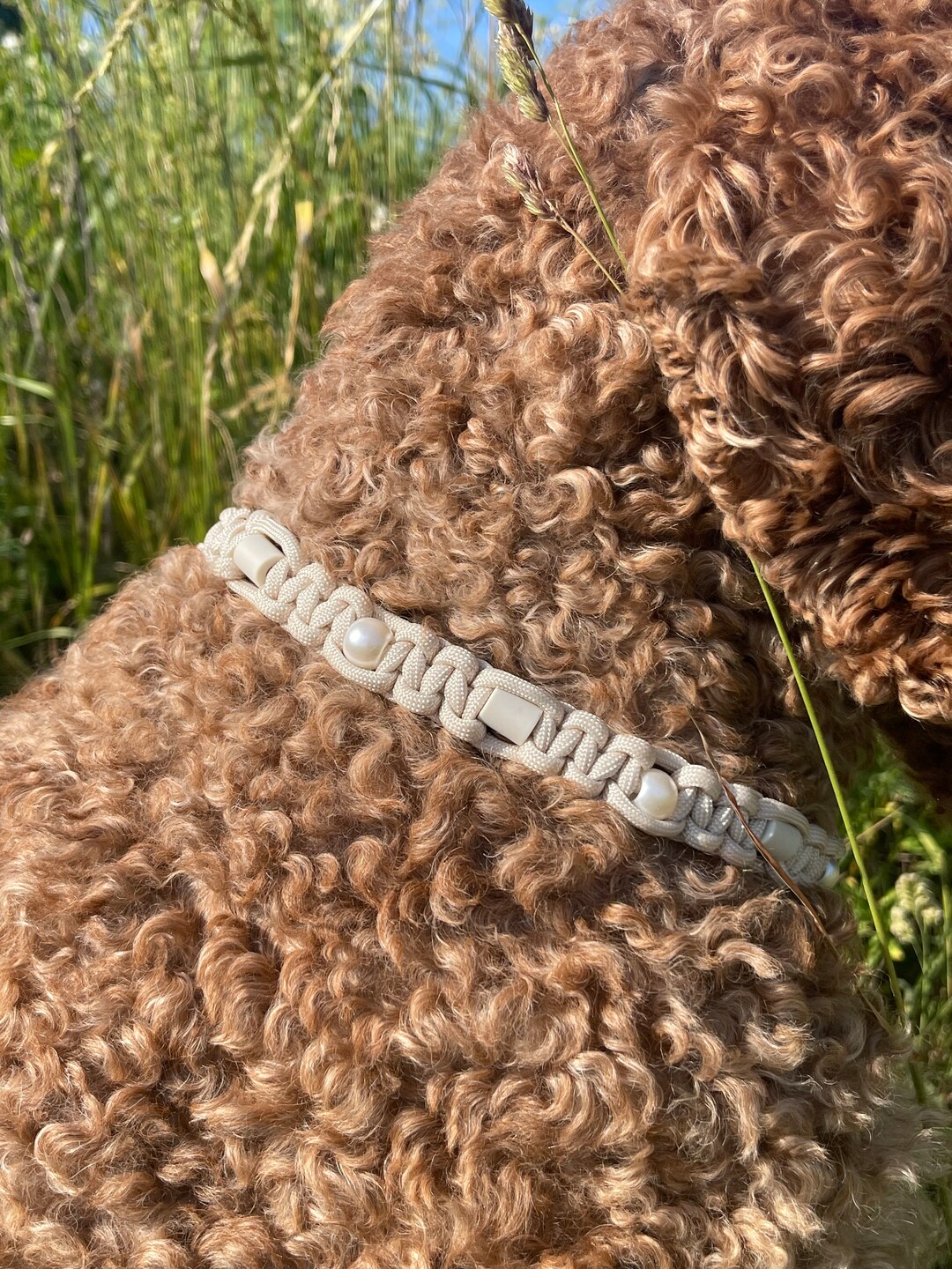 Paracord Antitick Collar With Beads and Ceramic Stones Etsy