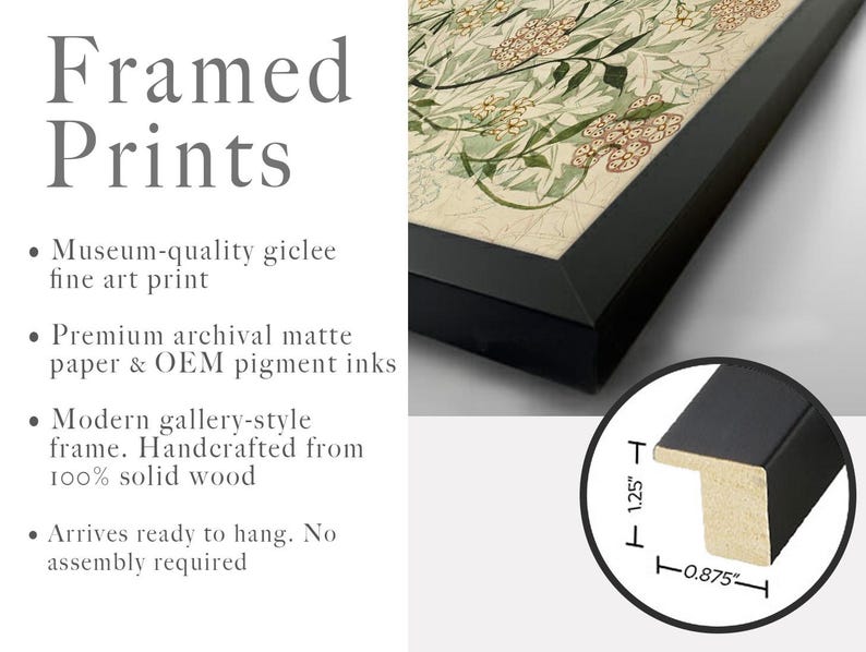 May include: A framed print featuring a botanical illustration with green leaves and tan flowers in a black wooden frame. A circular inset shows the frame profile with a height of 1.25 inches and a width of 0.875 inches. Text includes Framed Prints.