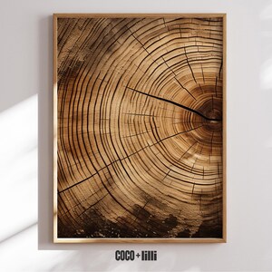 May include: A framed print showing a close-up of a tree cross-section. The wood grain displays concentric rings in shades of brown and tan, with cracks radiating from the centre. The print is in a wooden frame.