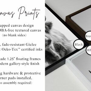 May include: Canvas prints with a black and white image of a Highland cow. The prints are available with black, brown, and white frames. The text on the image describes the canvas prints as having a wrapped canvas design, fade-resistant prints, and handmade 1.25" floating frames.