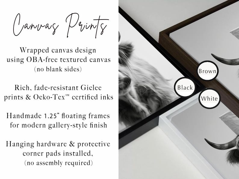 May include: Canvas prints with a black and white image of a Highland cow. The prints are available with black, brown, and white frames. The text on the image describes the canvas prints as having a wrapped canvas design, fade-resistant prints, and handmade 1.25" floating frames.