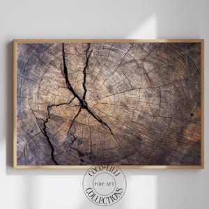 Wood Grain Wall Art • Tree Ring Print • Rustic Neutral Decor • Organic Texture Artwork