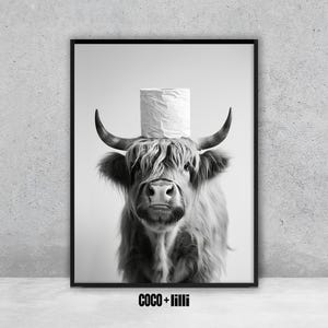 May include: Black and white framed print featuring a Highland cow with a roll of toilet paper balanced on its head. The cow has long, shaggy fur and large horns. The text "COCO + lilli" is at the bottom.