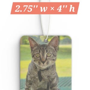 Custom Car Air Freshener | Photo Car Air Freshener | Personalized Car Air Freshener | Custom Pet Gift | Stocking Stuffers | Custom Car Decor