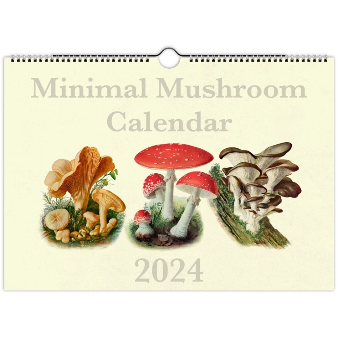 2024 Minimal Mushroom Wall Calendar 12 Month Fungi Calendar Etsy