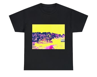 Camiseta de algodón pesado unisex
