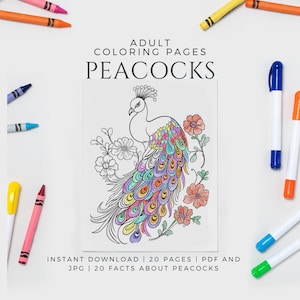 Adult coloring book Peacocks printable coloring pages peacocks coloring pages adult coloring book printable relaxation PDF KDP interior