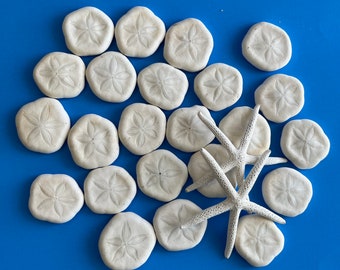 Sea Cookie Sand Dollars, XL pieces, Puffy White Sea Cookies, Sand Dollars, Sand Cakes, Pansy Shells, Fun Chunky Sea Cookies.