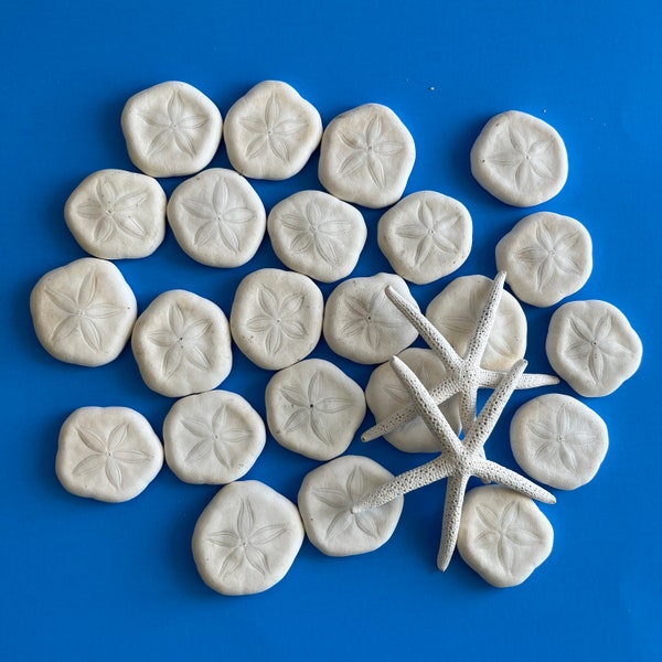 Sea Cookie Sand Dollars, XL pieces, Puffy White Sea Cookies, Sand Dollars, Sand Cakes, Pansy Shells, Fun Chunky Sea Cookies.