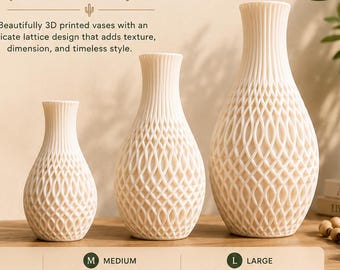 Modern 3D Printed Lattice Vase | Custom Color Combinations | Available in 3 Sizes
