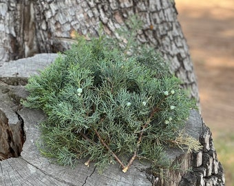 Fresh Cut Alligator Juniper Branches- Fresh cut juniper branches for decor, crafts, incense. Holiday decor, juniper crafts, fragrant juniper