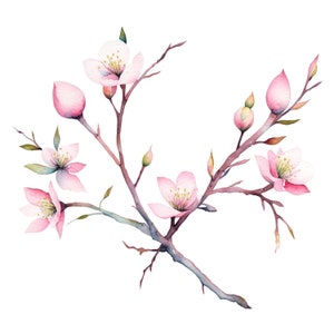 Cherry Blossoms Digital Art Clipart Cherry Blossom 15 High - Etsy