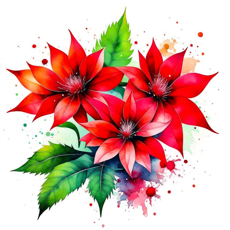 Puede incluir: Pintura de acuarela de tres flores rojas con hojas verdes y salpicaduras de acuarela sobre un fondo blanco.