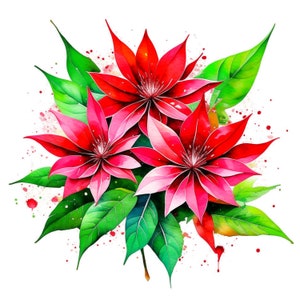 Puede incluir: Una pintura de acuarela de tres flores rojas con hojas verdes y salpicaduras de pintura roja y amarilla en el fondo.