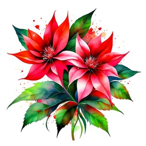 Puede incluir: Pintura de acuarela de dos flores rojas y rosadas con hojas verdes sobre un fondo blanco.