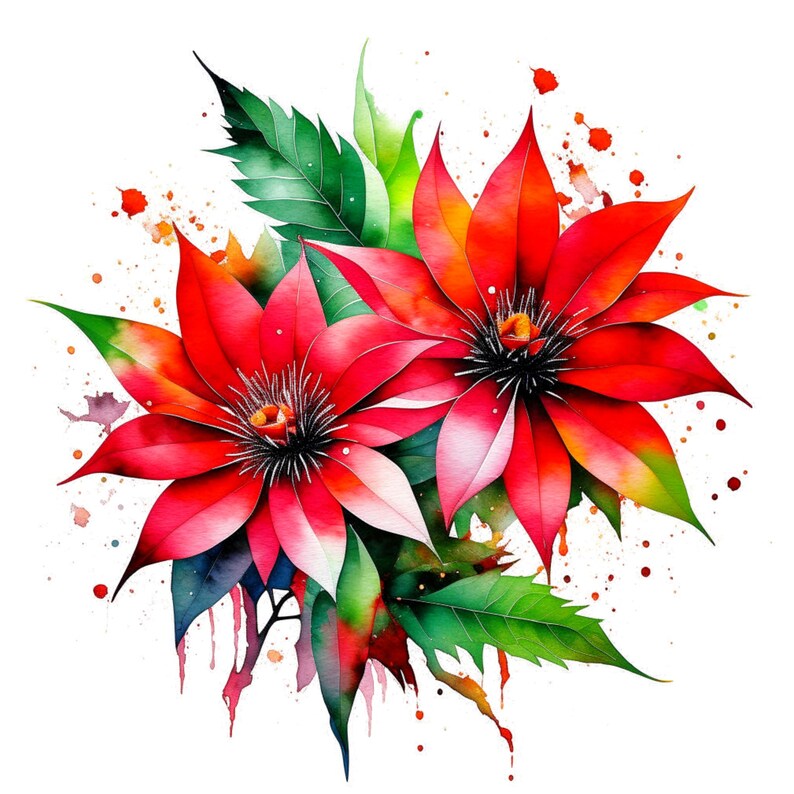 Puede incluir: Pintura de acuarela de dos flores rojas con hojas verdes y pintura salpicada en el fondo.