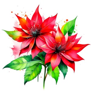 Puede incluir: Dos flores rojas de acuarela con hojas verdes sobre un fondo blanco. Las flores tienen un dise&ntilde;o delicado e intrincado.