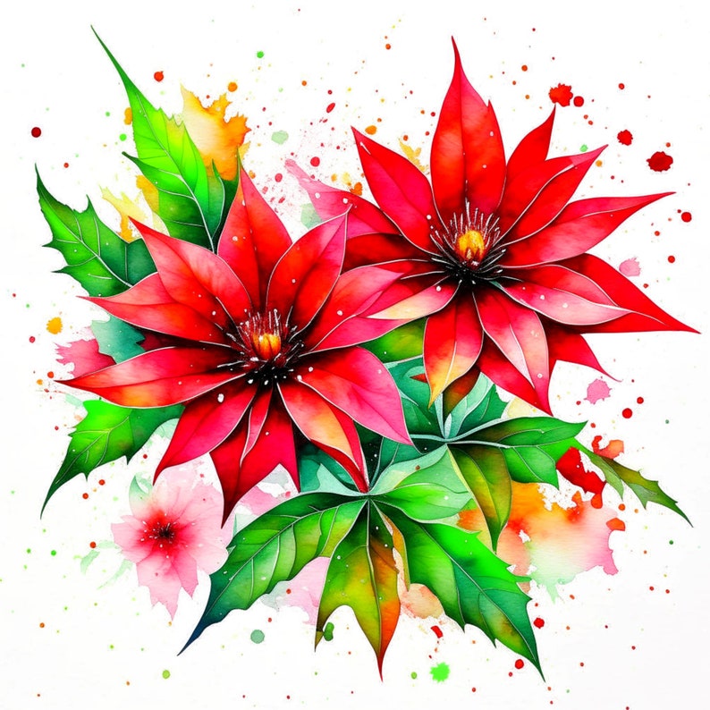 Puede incluir: Una pintura de acuarela de dos flores de poinsettia rojas con hojas verdes y salpicaduras de acuarela blancas, naranjas y amarillas en el fondo.