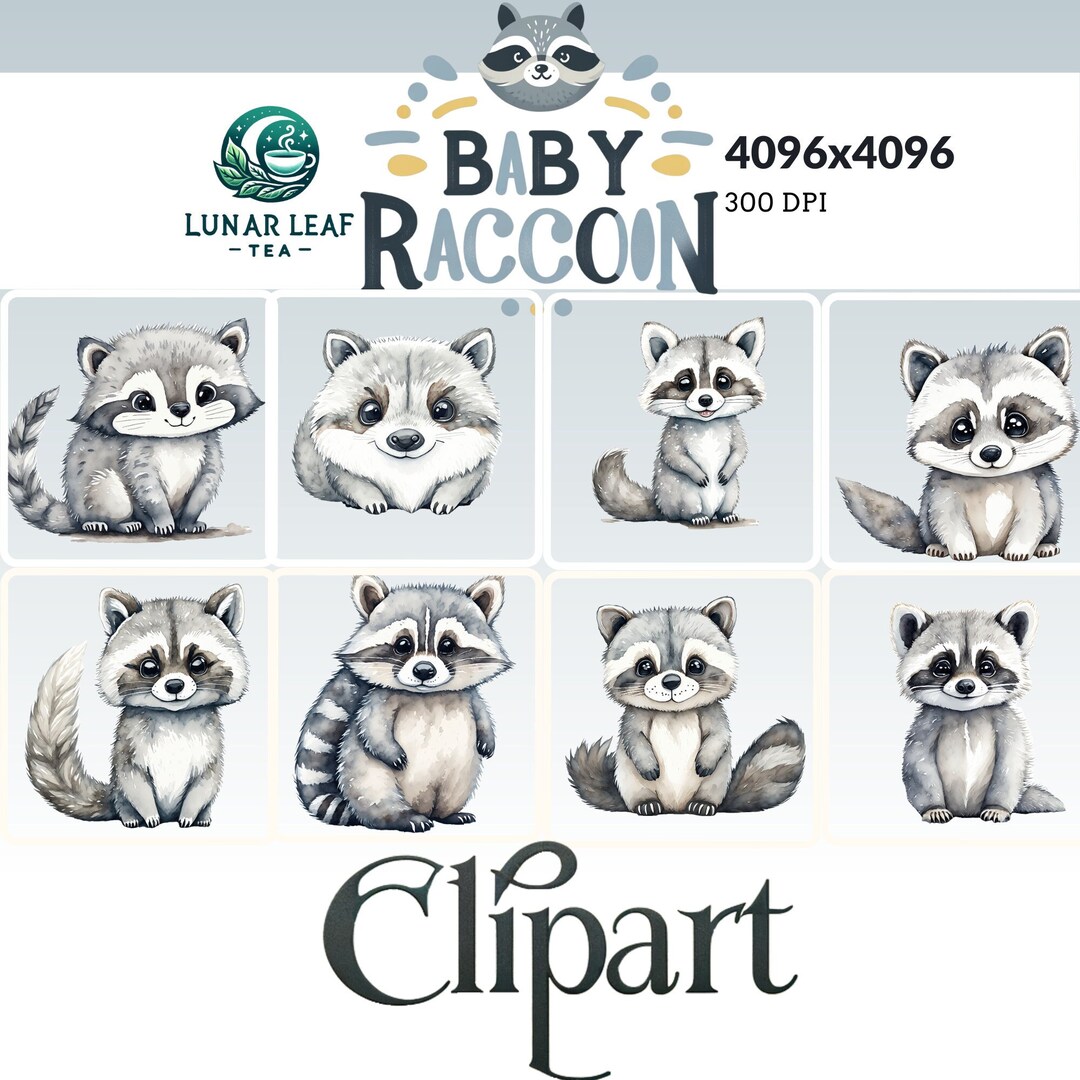 Baby Racoon Design Baby Racoon Watercolor Clipart, Transparent Nursery Pngs, Commercial ...