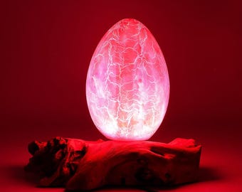 Driftwood Crackle Egg Lamp • Handmade Ambient Night Light