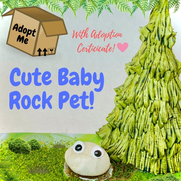 Adorable Baby Rock Pet with Adoption Certificate! Makes a cute Desk Pet, Emotional Support Buddy, locker friend, and Carry Around Companion!