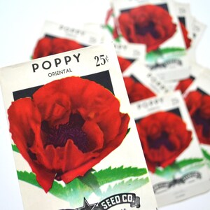 Set of 2 - Vintage Poppy Seed Packets - Vintage Flower Seed Packets -Flower Ephemera - Junk Journal Supplies