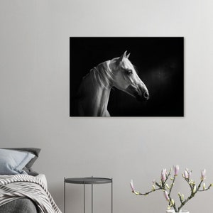 Horse canvas print, White Horse, Wall Art, Wall Décor, Animal art, Horse print, Horse canvas, Living Room décor Large wall art Black & White