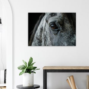 Horse canvas print, Wall Art, Wall Décor, Animal art, Horse print, Horse canvas, Living Room décor, Large wall art, Horse Photography Art