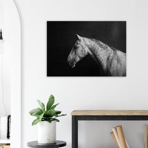 Horse canvas print, Wall Art, Wall Décor, Animal art, Horse print, Horse canvas, Living Room décor, Large wall art Black & White, Horse Gift