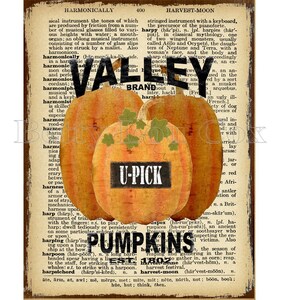May include: A vintage-style print featuring three orange pumpkins with green leaves, the words "Valley" and "Pumpkins" in bold black letters, and a "U-PICK" sign. The background is a dictionary page.