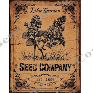 May include: Vintage-style illustration of lilac flowers with the text "Lilac Garden Seed Company Est. 1809" on a brown background.