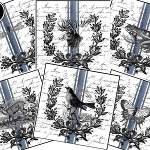 Afdrukbare labels, dieren downloaden, eland vogel kikker libel vlinder hert voor voorraadpotten blikjes potten flessen flessen blikken dozen, boerderij